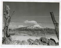 View of ranchlands through barbed wire fence