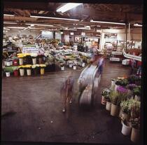 Flower market interior