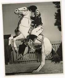 Portrait of horsewoman Barbara Scott 