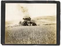 Agricultural laborers harvesting wheat in California 