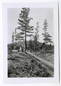 Woman, child, and dogs next to railroad tracks