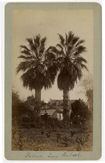 Palms, San Gabriel
